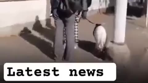 feel safe