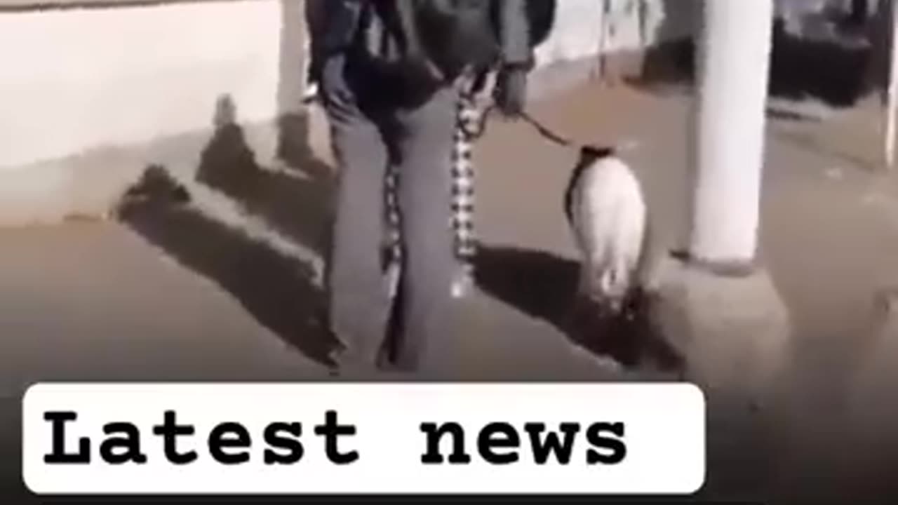 feel safe