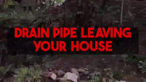 The DIY Guide to Septic Tank Location
