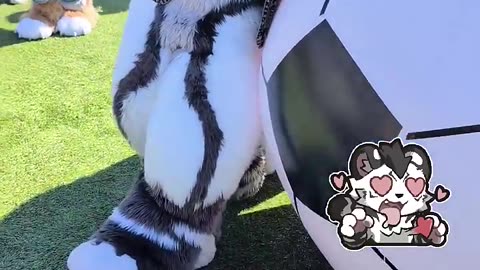 Lets play football together 🥰