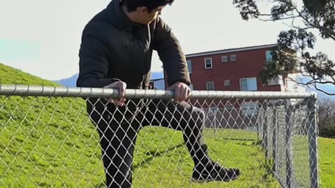 How Animals Get Over a Fence 😂