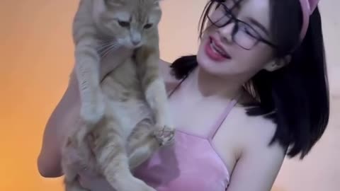 lucu yah kucing nya 🥰😍