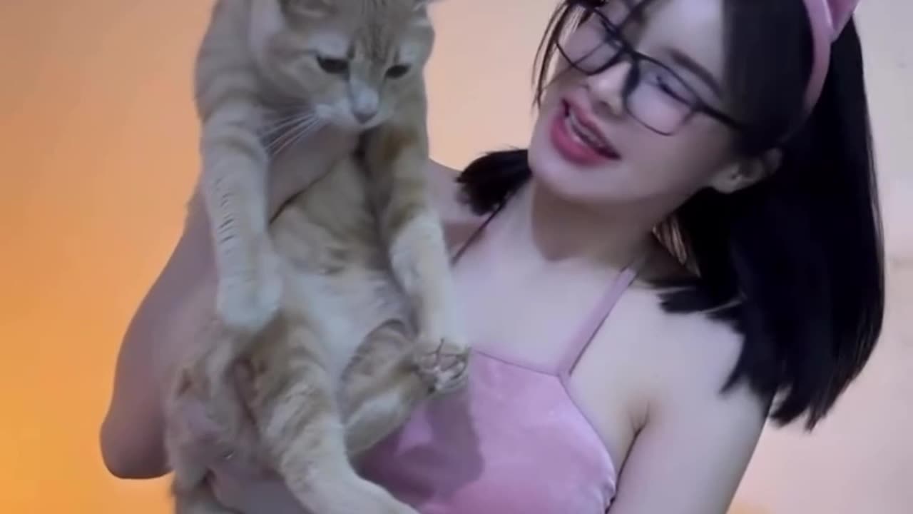 lucu yah kucing nya 🥰😍