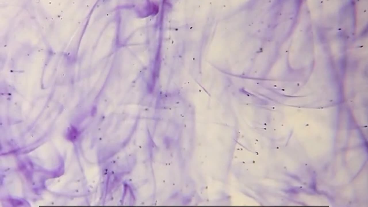 Daily Horoscope | Aquarius 🌟