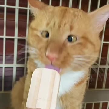 🍦😂 "Cross-Eyed Kid Eating Ice Cream | Cutest & Funniest Moment Ever!"