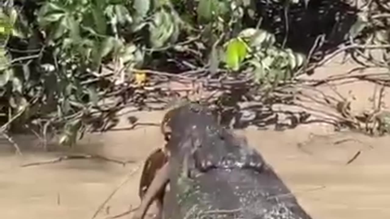 Funny