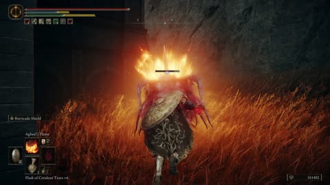Elden Ring DLC | Blessing of Marika and 4x Shadow Realm Rune in Fort of Reprimand #eldenring