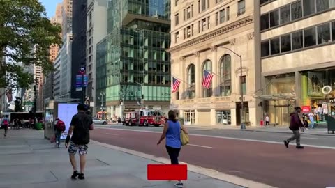 Fifth Avenue NEW YORK City USA vlog 4k video TRAVEL