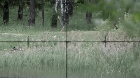 Soviet Heroine vs Nazi Sniper – Epic WWII Standoff 