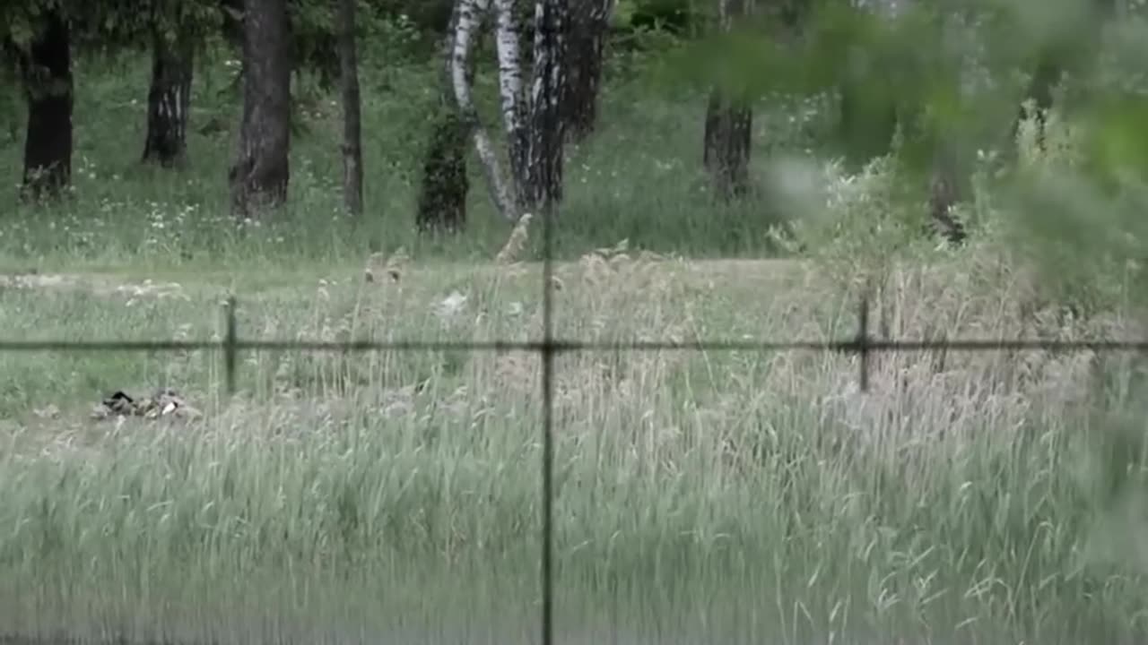 Soviet Heroine vs Nazi Sniper – Epic WWII Standoff