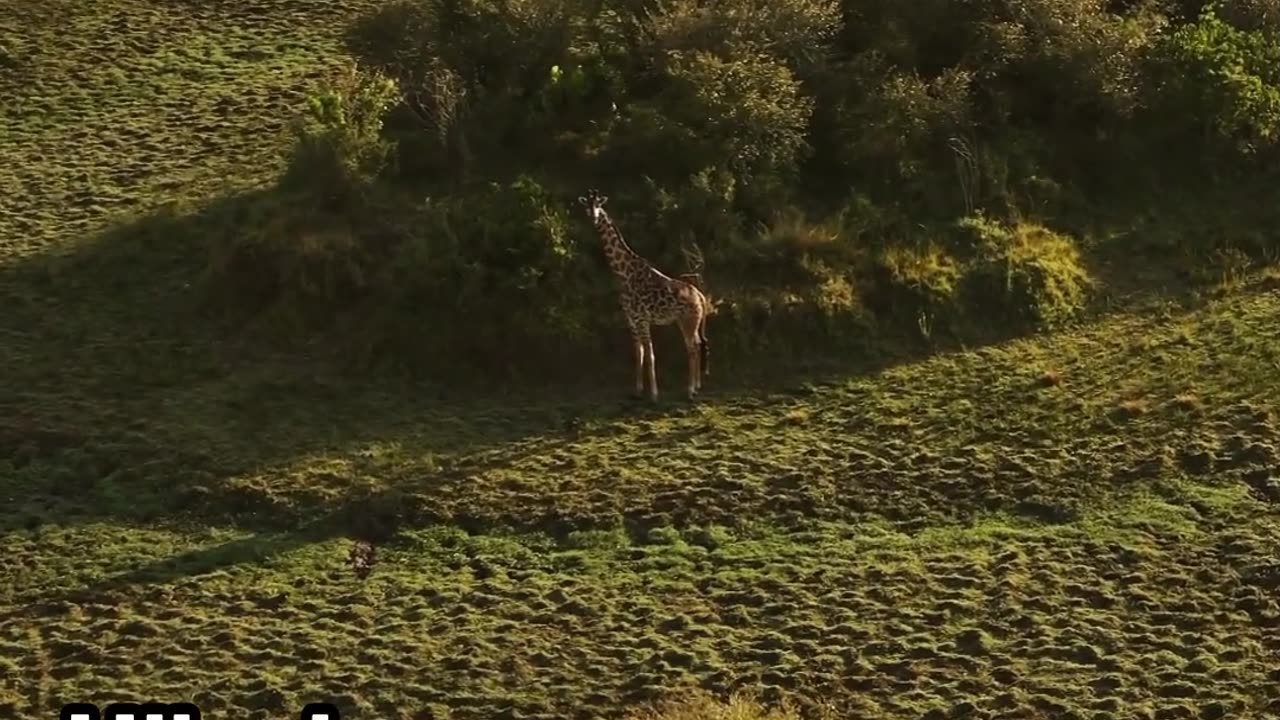Explore Kenya’s Breathtaking Hiking Trails!
