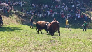 Peran od Benita vs Kukan od Sadika Begića Kakanj 2025