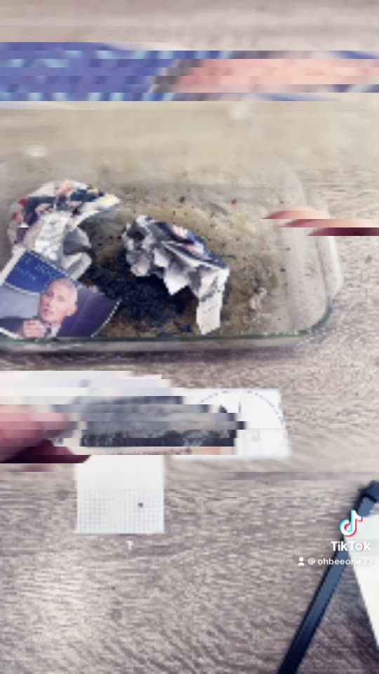 Tim Rifat TikTok Videos