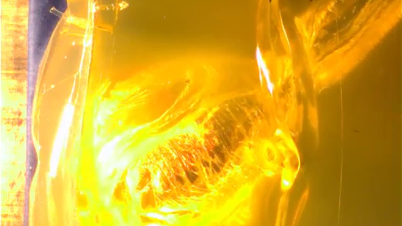 458 SOCOM subsonic 500gr vs. gelatin torso