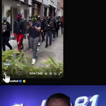 pup walk peak mental illness