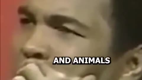 Based Ali