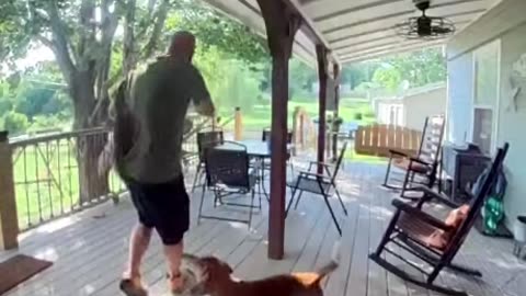 Squirrel Attack