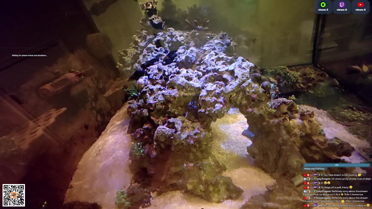 24/7 Real Live Reef Stream