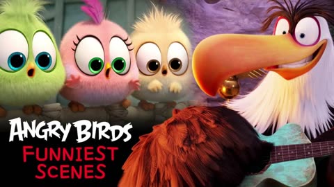 Angry Birds - Best Scenes