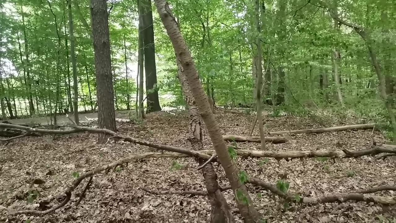 nie smakuje ...