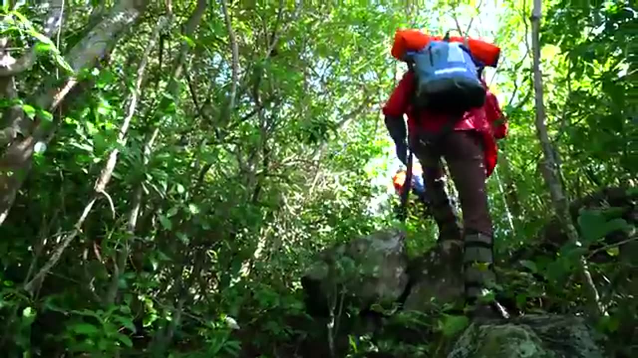Mr. Beast Survived The 5 Deadliest Places On Earth
