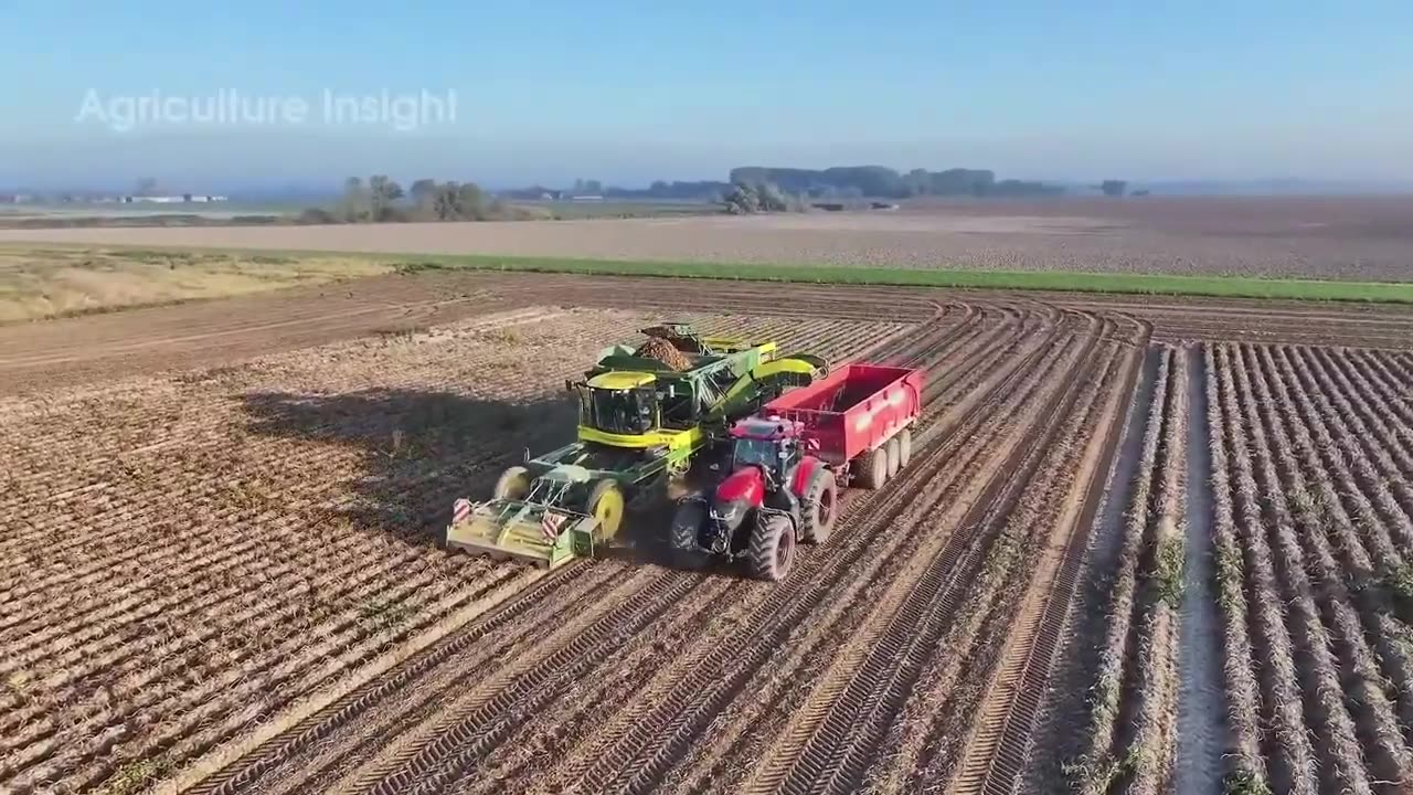Inside French Fries MEGA Factory 🍟 | Amazing Potato Processing Technology Revealed!