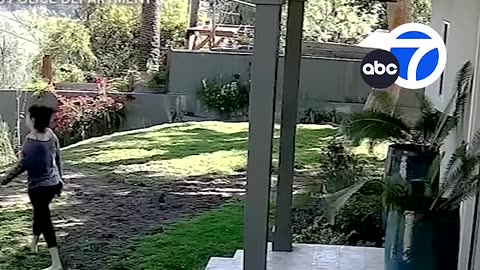 New LAPD bodycam video shows moment officers shot wife of Weezer bassist