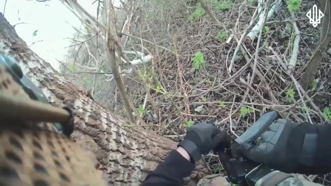 Soldiers of 3rd BrOP NGU repel an attempted Russian assault on the Pokrovsk direction!