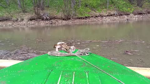 Boating Man Rescues Drowning Bear Cub