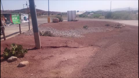 Landscapes Quick Cleaning & Junk Hauling