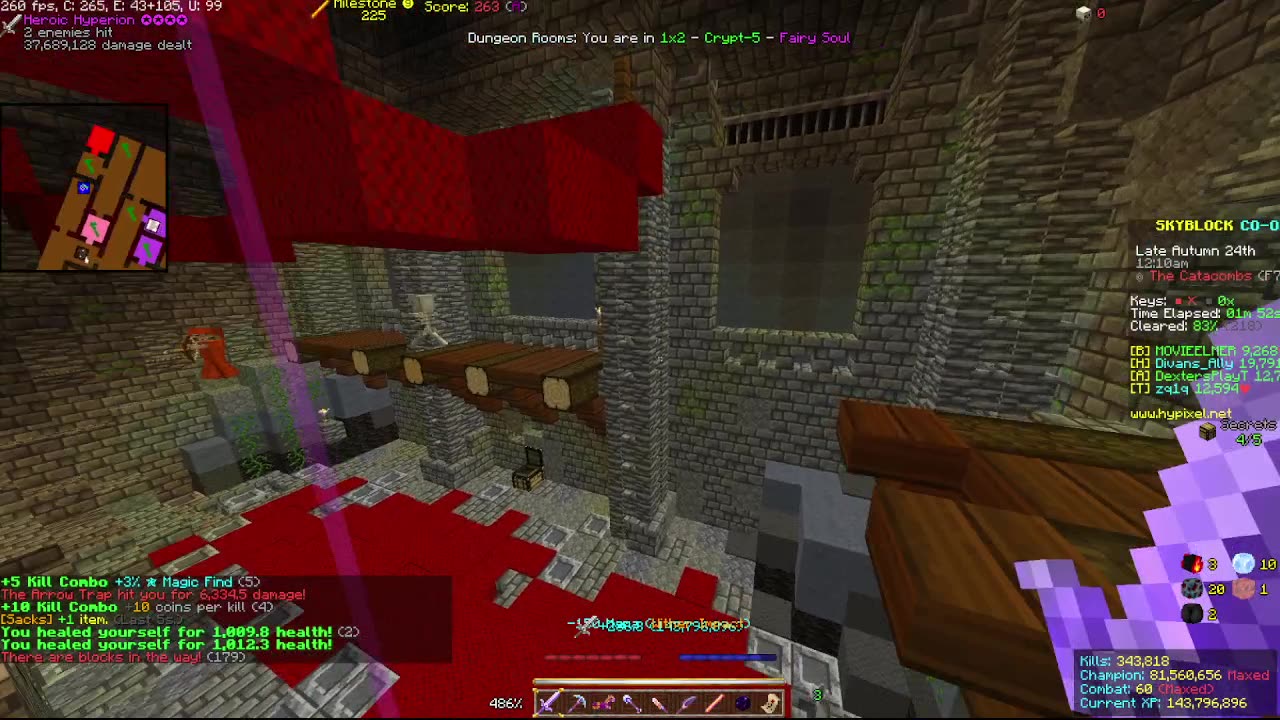 Skyblock FLOOR 7 [#2283]