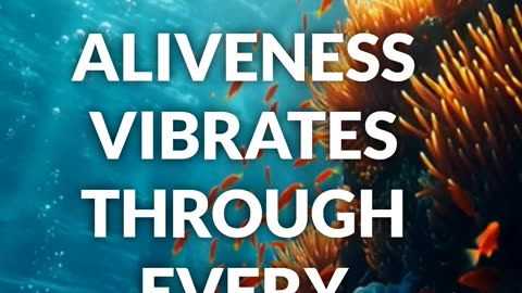 Aliveness
