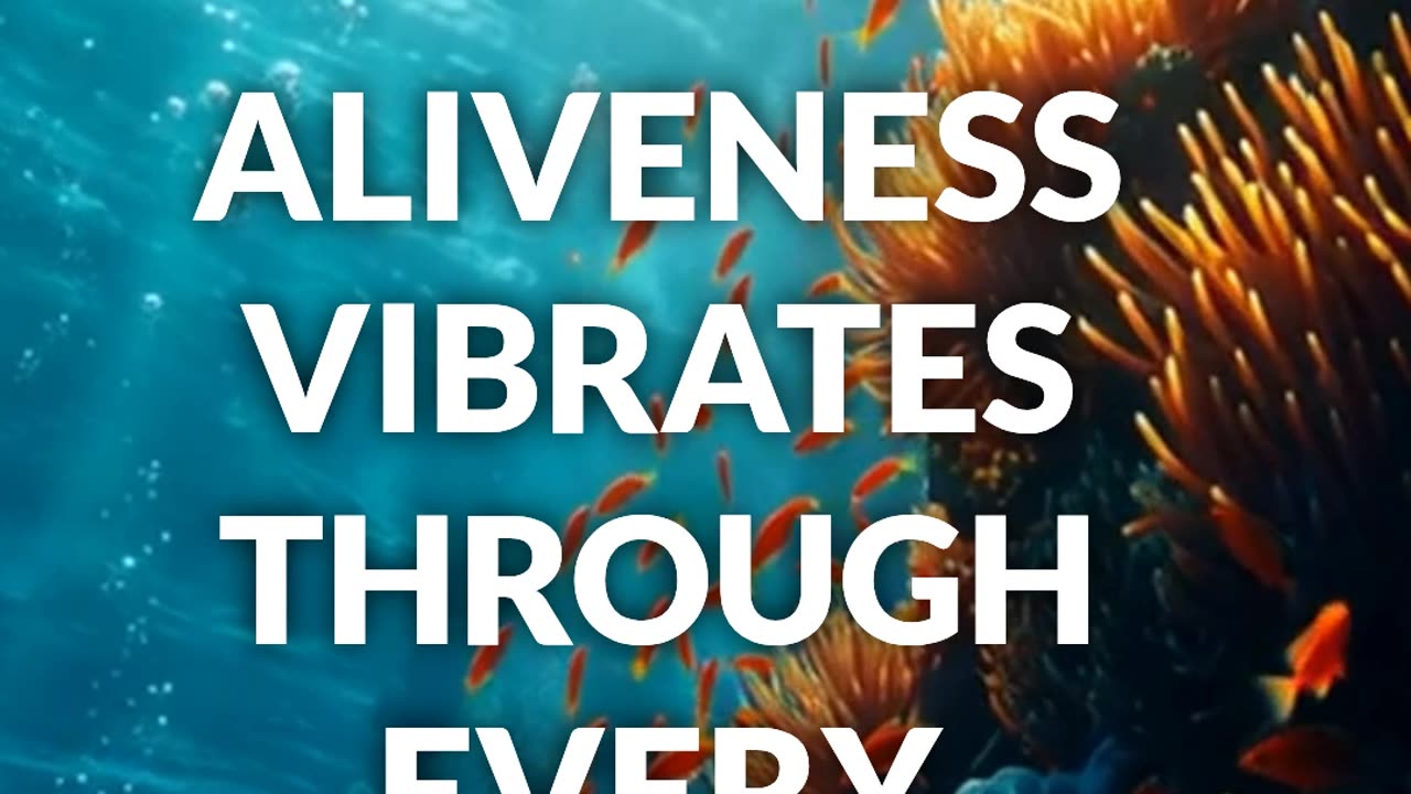 Aliveness
