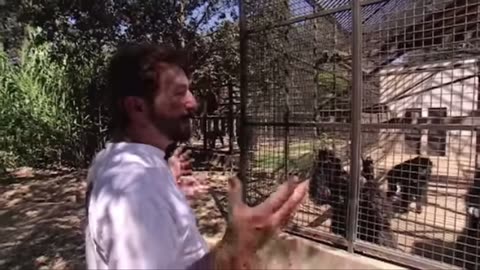 Oliver the HUMANZEE found ALIVE - DNA results