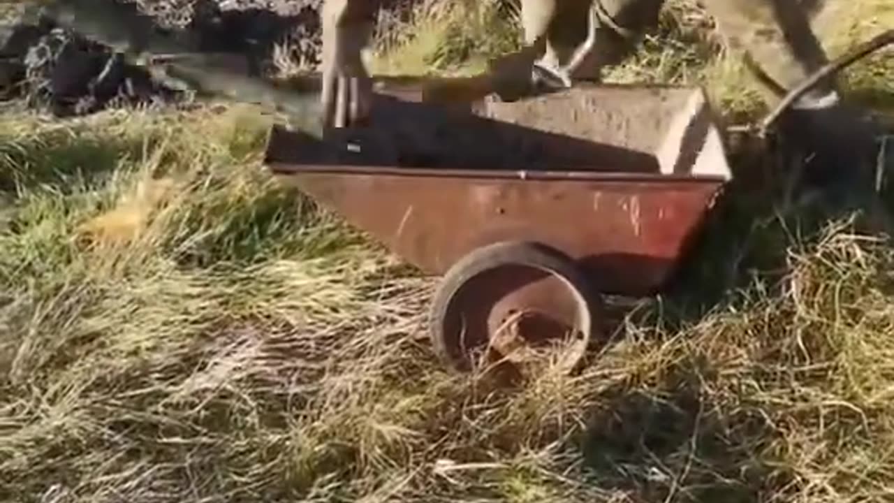 New products of the Ukrainian Military Industrial Complex