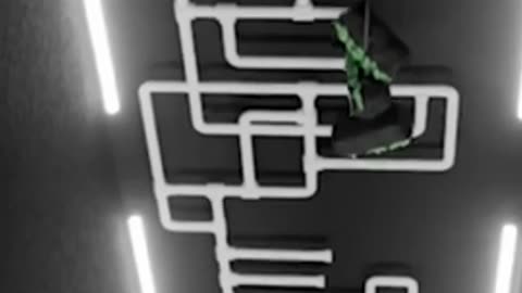 Climbing a 60-Foot Tower Carrying 200 Pounds of Money!