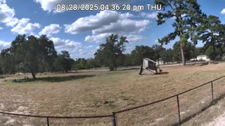 😂🤣 My Gazebo People Need Me! | FunFM