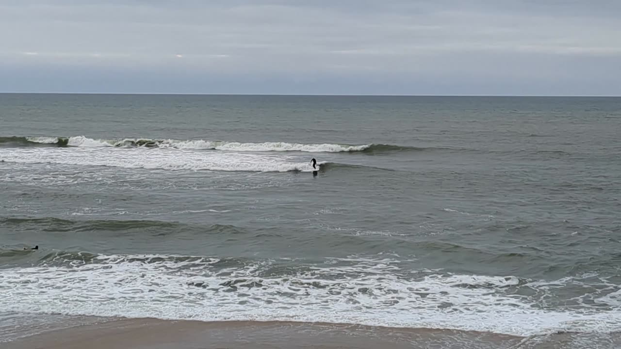 LOOKING for WAVES!