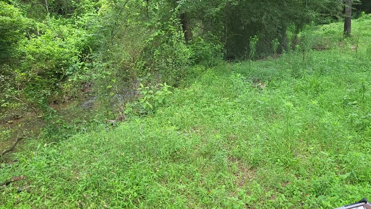 17.0 2400 125 Hornady