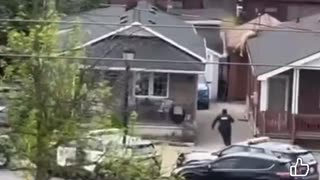 Another day in Toronto 🤣🤣🤣