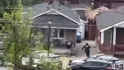 Another day in Toronto 🤣🤣🤣