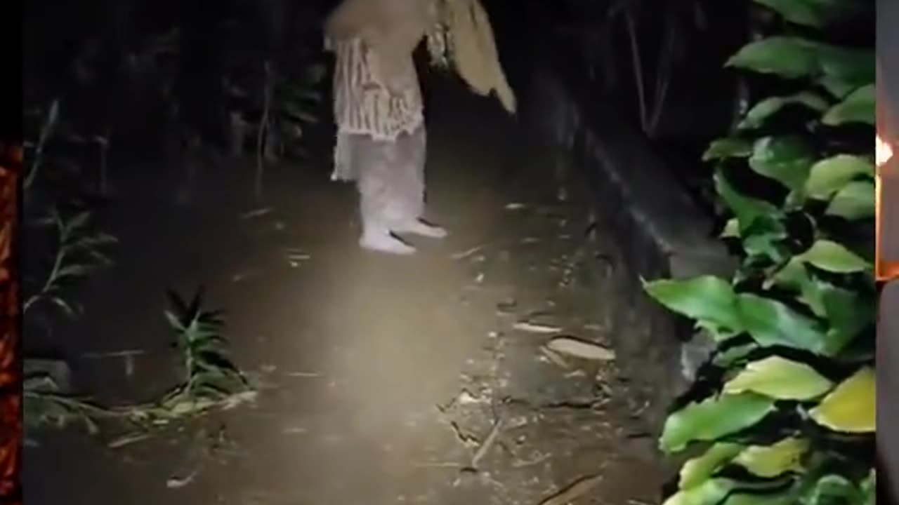 😱👻 You Won't Believe What They Caught on Camera! Ouija | TheHauntingHour