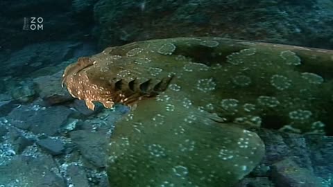 24 hodin v divocine - 3. díl