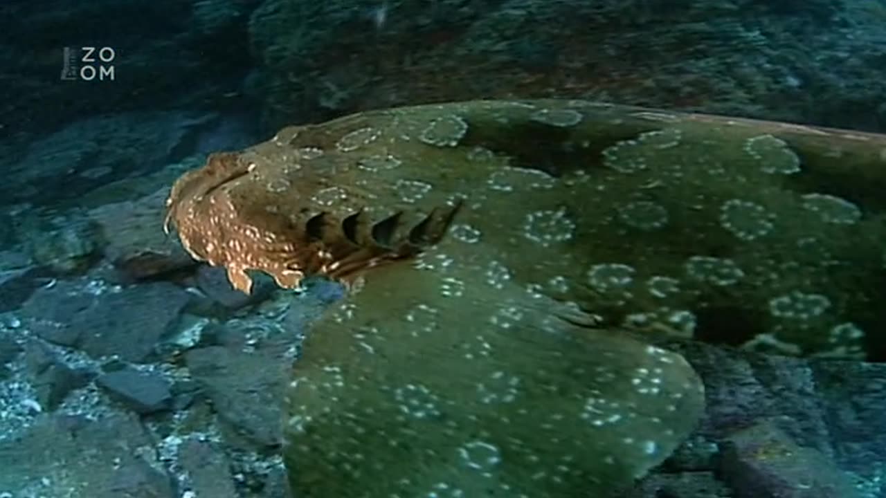 24 hodin v divocine - 3. díl