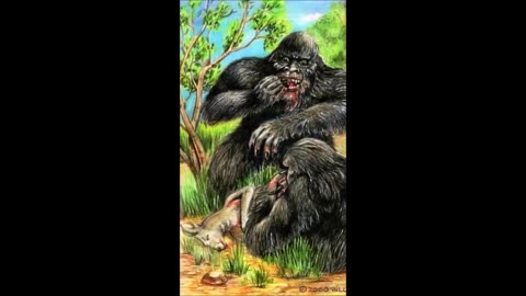 Avertissement cette photo peut heurter la sensibilité. C'est la chose la plus effrayante qu...