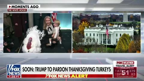 Karoline Leavitt bring baby, turkeys to WH briefing room