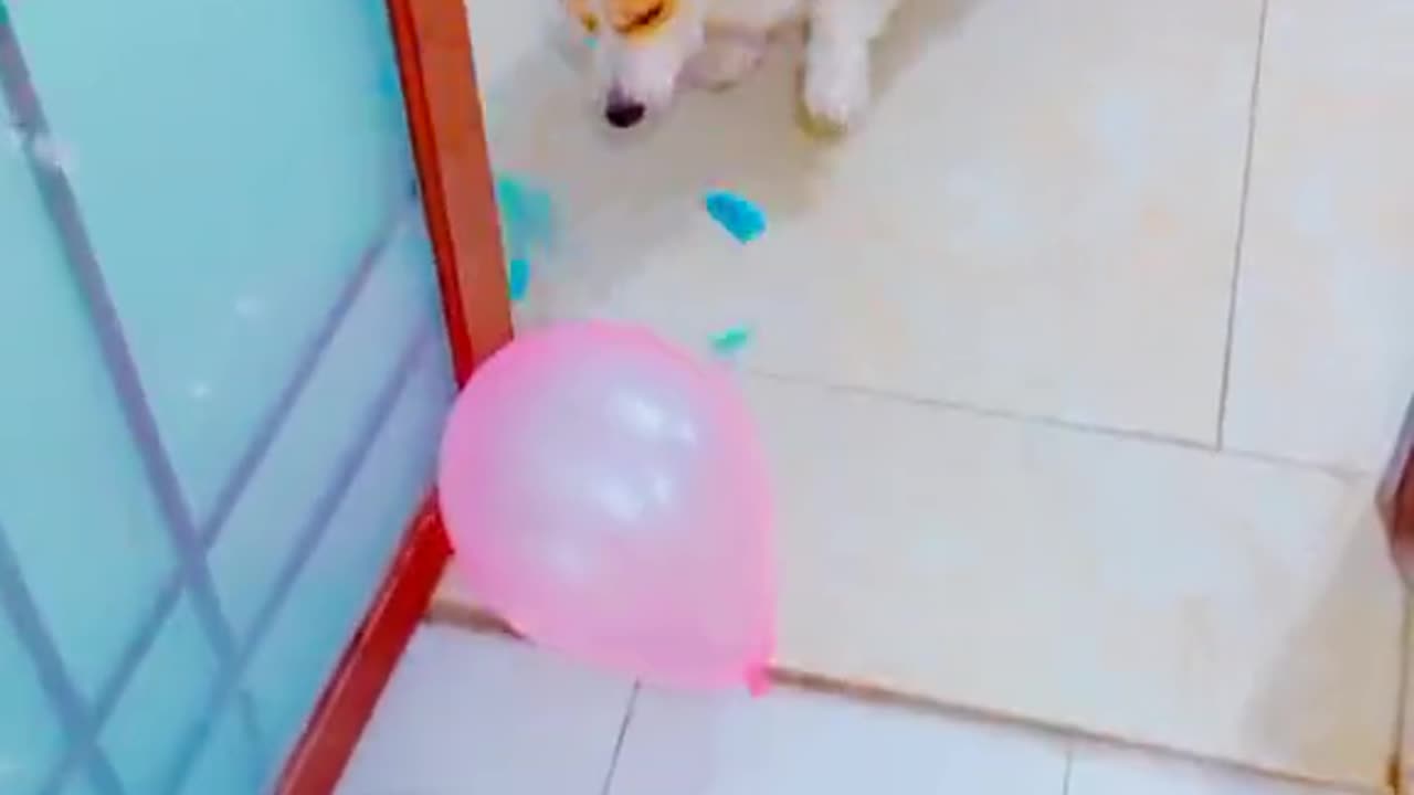 POV: You just found the cutest thing on the internet today