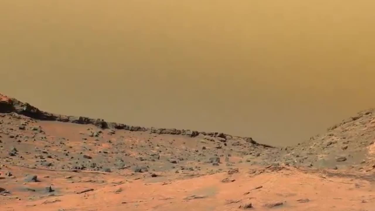 Musk just shared this... says it's the surface of Mars!😁😂