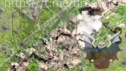 Kamikaze and Drops on a Ukrainian Trench
