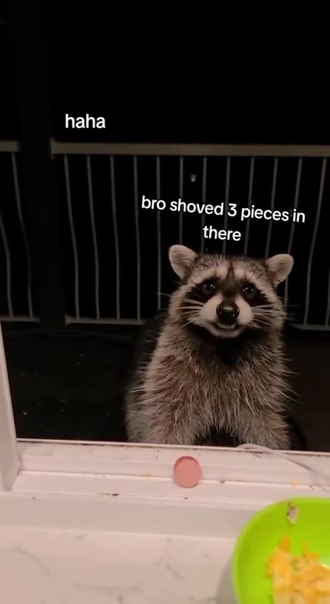 One piece at a time please 😂